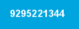 9295221344