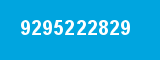9295222829