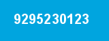 9295230123