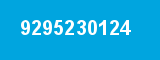 9295230124