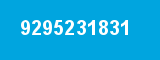 9295231831