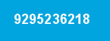 9295236218