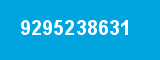 9295238631