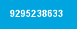 9295238633