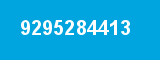9295284413