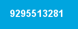 9295513281