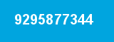 9295877344