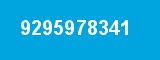 9295978341 9295978341
