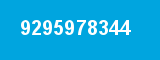9295978344 9295978344