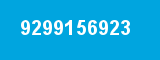 9299156923