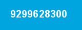 9299628300