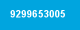 9299653005