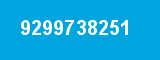 9299738251