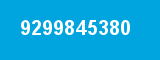 9299845380