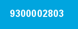 9300002803