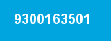 9300163501 9300163501