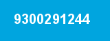 9300291244 9300291244