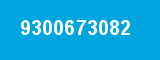 9300673082