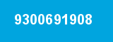9300691908