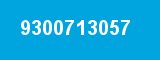 9300713057