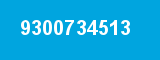 9300734513