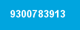 9300783913