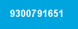9300791651 9300791651