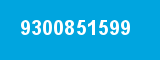 9300851599
