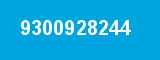 9300928244 9300928244