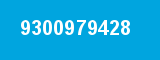 9300979428