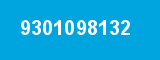 9301098132