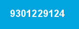 9301229124 9301229124