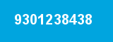 9301238438