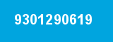 9301290619 9301290619