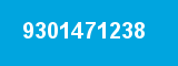 9301471238