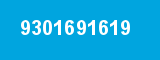 9301691619 9301691619