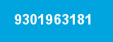 9301963181