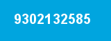 9302132585