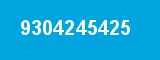 9304245425