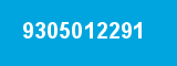 9305012291