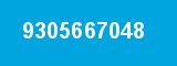 9305667048
