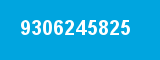9306245825