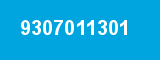 9307011301