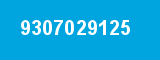 9307029125