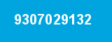 9307029132