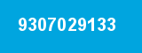 9307029133 9307029133