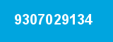 9307029134 9307029134