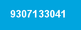 9307133041 9307133041