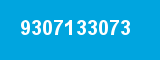 9307133073
