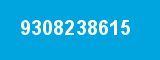9308238615